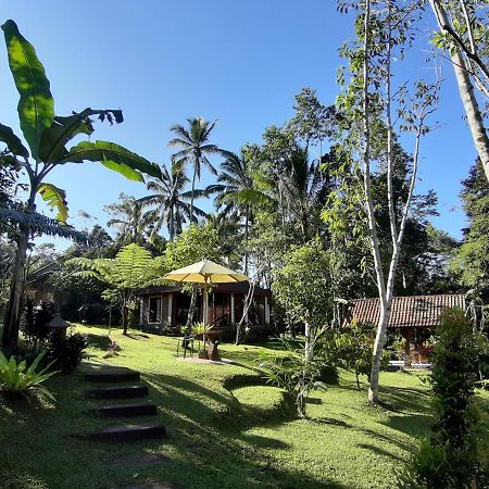 Tegal Jero Homestay Джатілувіг Екстер'єр фото