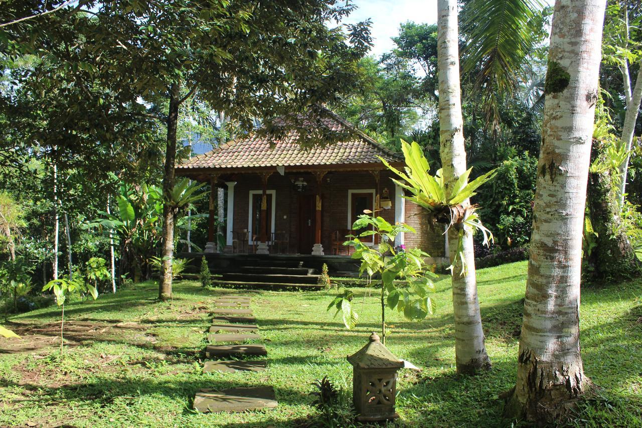 Tegal Jero Homestay Джатілувіг Екстер'єр фото