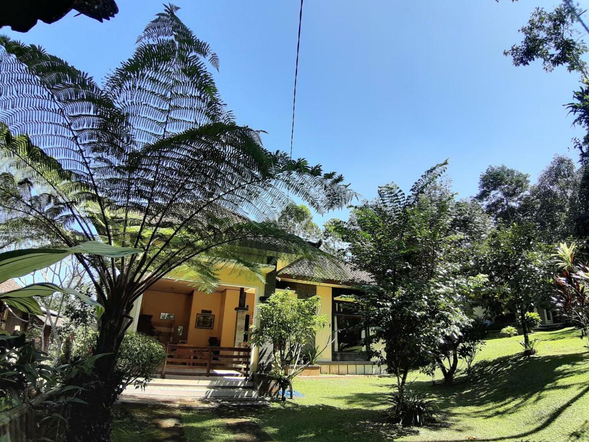 Tegal Jero Homestay Джатілувіг Екстер'єр фото