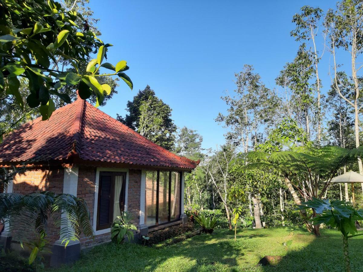 Tegal Jero Homestay Джатілувіг Екстер'єр фото