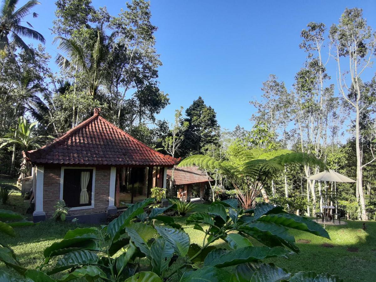 Tegal Jero Homestay Джатілувіг Екстер'єр фото