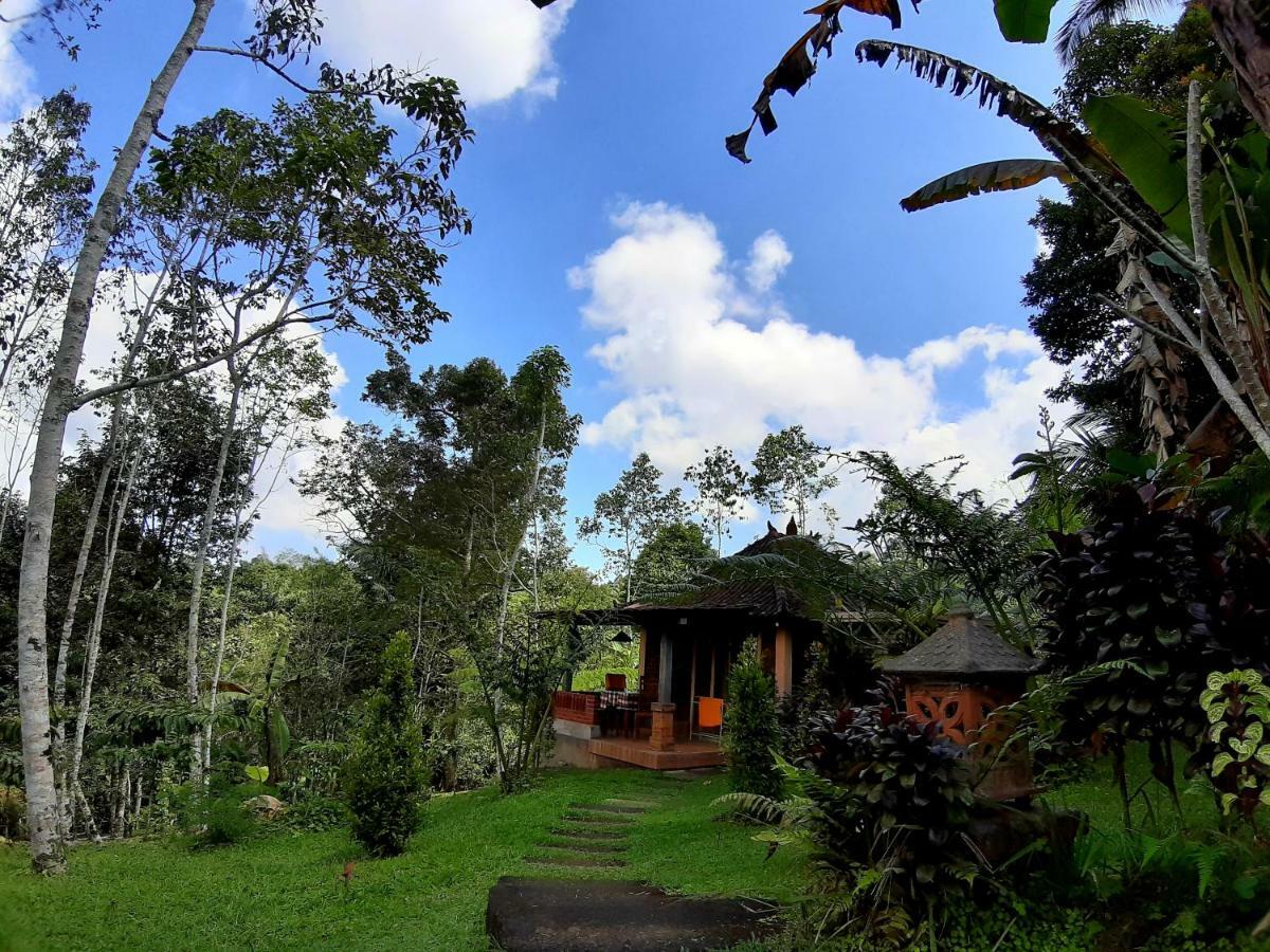 Tegal Jero Homestay Джатілувіг Екстер'єр фото