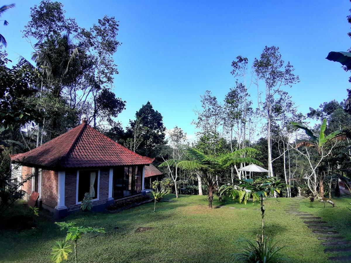 Tegal Jero Homestay Джатілувіг Екстер'єр фото
